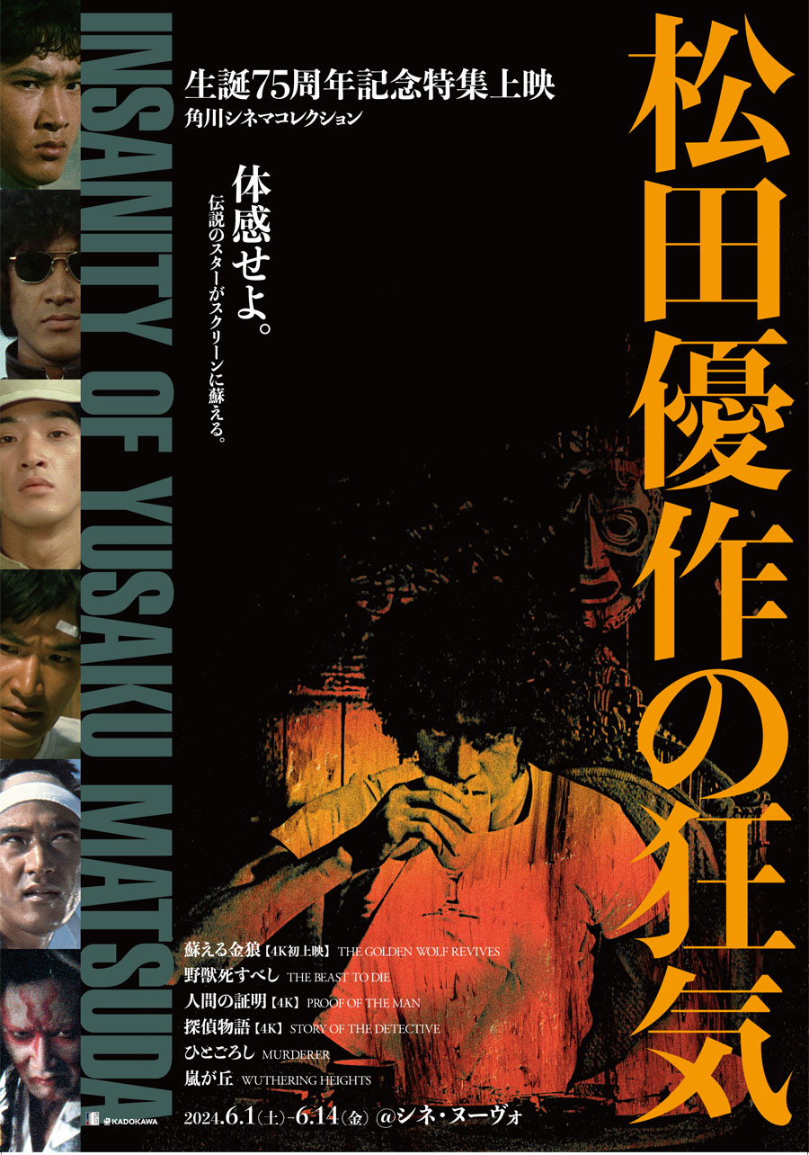 生誕百年記念　映画女優　高峰秀子