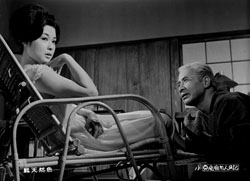 瘋癲老人日記