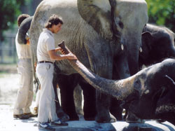 動物園